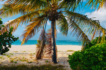 Fototapeta na wymiar tropical panorama island of Anguilla Caribbean sea