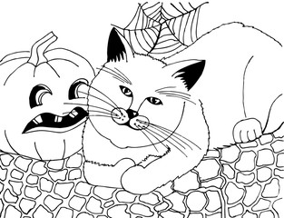 The cat and Jack's lamp at the Halloween party. Drawing for coloring - 345742004