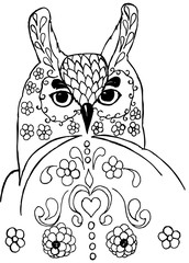 Owl's head with a floral pattern. Drawing for coloring - 345742243