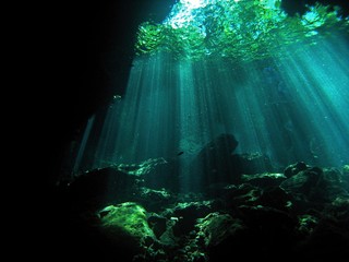 Cenote, underwater landscape, Yucatan Peninsula of Mexico, underwater photograph 