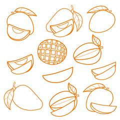 Set of linear drawing mango isolated on white background. Sketch for coloring booking page. Vector illustration