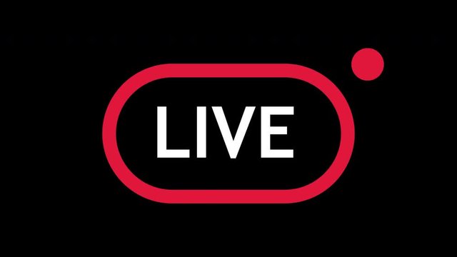 live stream NEWS TV Live Icon red button with white text on transparent background. For your videos. For YouTube channel. Alpha Channel with animation. Graphic, video footage 4K, 2K, HD, SD.