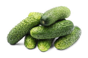 Pile of fresh cucumbers isolated on white background. Farming concept.