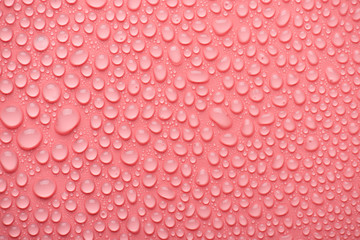Cropped top above overhead close up view photo of many beautiful luxurious calm white pink water drops on pink background