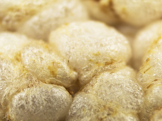 Macro photo of a rice waffle