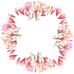 Fototapeta na wymiar Watercolor hand painted nature floral circle star border frame with pink blossom honeysuckle flowers bouquet on the white background for invite and greeting card with the space for text