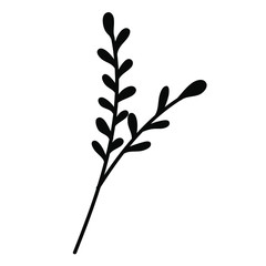 
Branch of a plant on a white background. Wildflowers. Flowers from the field. Spring flowering plants