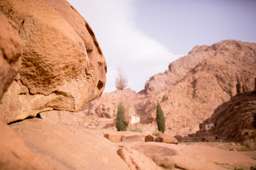 Coptic Monastery View