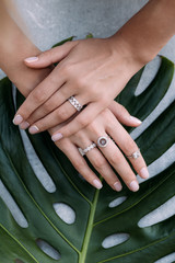 jewelry made of gold and diamonds on the girl’s hands on the background of a large green leaf of monstera