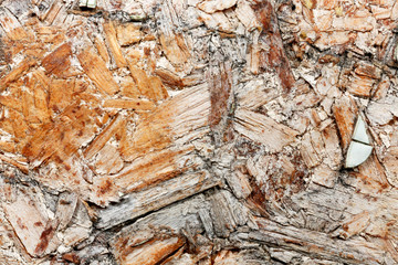 Wood with cracks. Texture of an old weathered tree with cracks and rough edges.