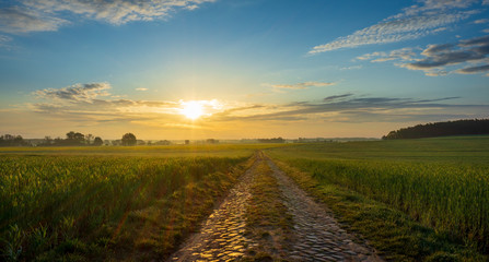 Obraz premium Sunrise over fields with a road in the foreground.