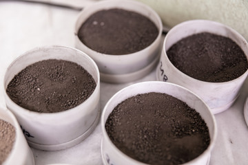 testing of different soil samples in the agricultural laboratory