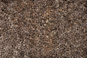decorative cross section view  cutting wood