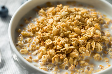 Healthy Organic Granola with Milk
