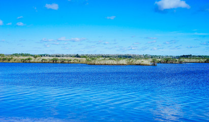 Beautiful Florida swamp winter landscape