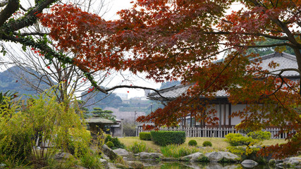 Japanese garden during the fall season bright colored trees cedars, spruce, helena bamboo and bushes. Sengan-en park residence with ponds and colorful landscape design Kagoshima Japan