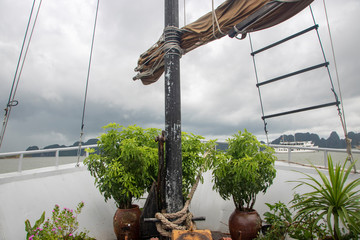 halong bay