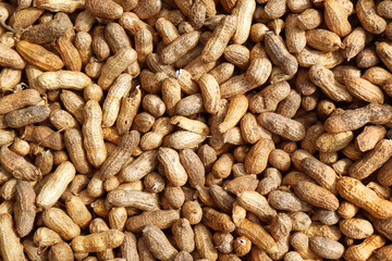 Unpeeled peanuts background texture. Groundnut close-up.