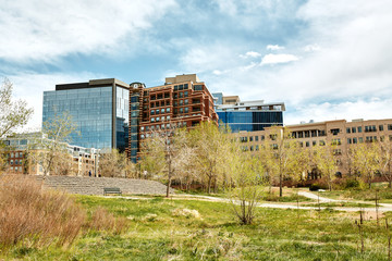 Landscape view of Commons Park with apartments and office buildings in the distance in lower...