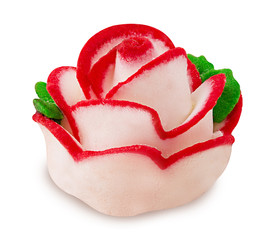 Sugar rose red and white