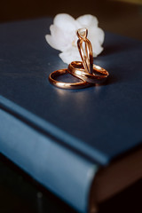 Two wedding rings and engagement ring on a closed book, on a distant background a flower