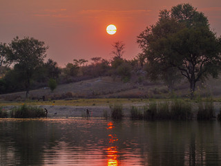 Coucher de soleil sur l'Okawango