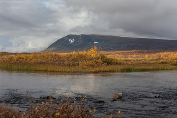 Obraz na płótnie Canvas autumn view of Sarek National Park, Lapland, Norrbotten County, Sweden, near border of Finland, Sweden and Norway. selective focus