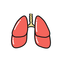 human lungs doodle icon, vector illustration