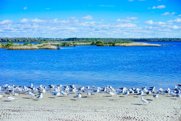 Beautiful Florida beach winter landscape