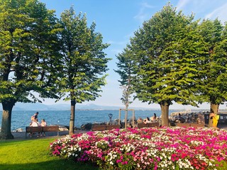 Densenzano Del Garda, Italy
デンセンザーノ・デル・ガルダ、イタリア