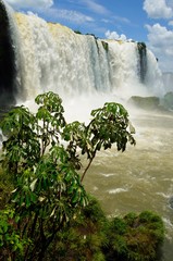 Wodospady Iguazu - obrazy, fototapety, plakaty