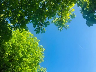 スイス　空
Sky, Switzerland