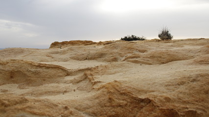 Fototapeta na wymiar Arid landscape of a beach in Andalusia