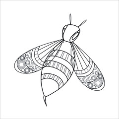 Vector illustration of a wasp. outline drawing on entomological theme