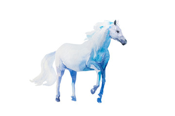 watercolor white horse painted in blue colors, isolated on white background