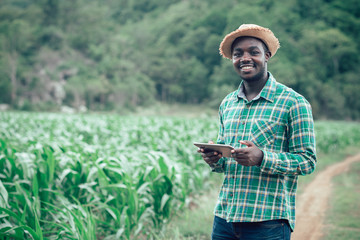 African farmer man holding tablet at organic farm with smile and happy.Agriculture or cultivation concept