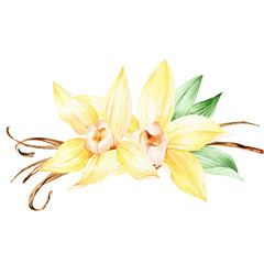 Vanilla clipart for tropical wedding. Vanilla yellow flowers watercolor clipart. Vanilla Orchid flowers illustration 