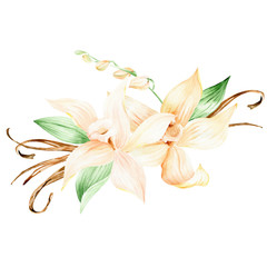 Fototapeta na wymiar Vanilla clipart for tropical wedding. Vanilla yellow flowers watercolor clipart. Vanilla Orchid flowers illustration 
