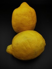 Studio photo of two yellow lemon fruits