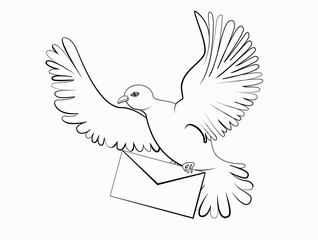 Stock vector illustration. Bird. Pigeon silhouette. A dove in white color flies and holds a letter in its paws. Coloring. Isolated on white background.