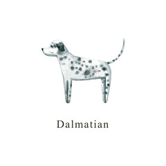 Watercolor dog. Hand drawn illustration is isolated on white. Painted Dalmatian is perfect for animal design, pet shop, veterinary clinic, fabric textile, baby cloth print, interior poster, wallpaper
