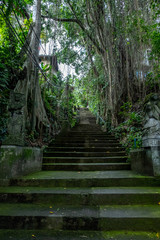 Exotic stairs in banyan trees, this stairs in Ubud, Bali Island, Indonesia