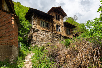 Fototapeta na wymiar House of The Pirin Dragon in village of Pirin, Bulgaria
