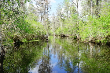 Fototapeta na wymiar Hillsborough river at Tampa, Florida 