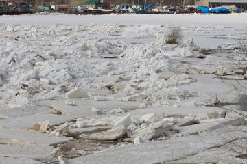 ice drift on the Severnaya Dvina river off the coast of Arkhangelsk, Russia