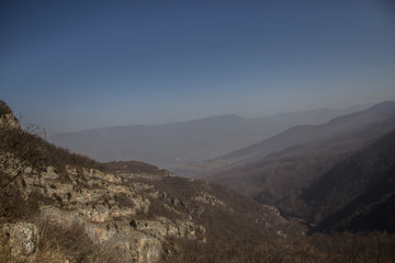 mountain ranges and bare forest