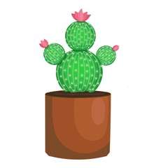Home flower cactus pot icon. Cartoon of home flower cactus pot vector icon for web design isolated on white background