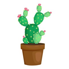 Natural cactus pot icon. Cartoon of natural cactus pot vector icon for web design isolated on white background