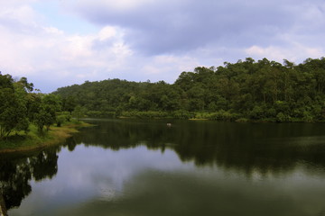 Fototapeta na wymiar Idyllic View Of Calm Lake Against Sky At Forest
