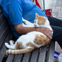 The fate of man and animal